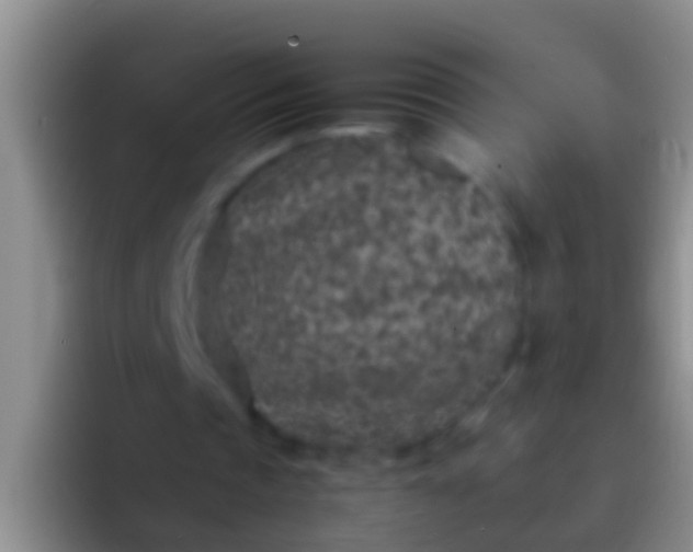 X0000092100337200709262145