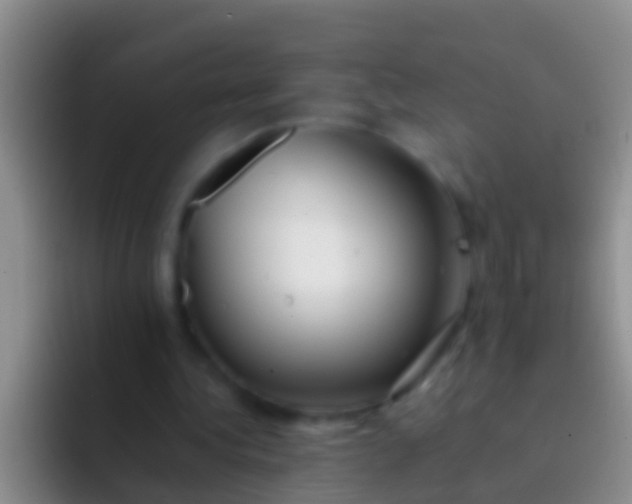 X0000092100340200709262145