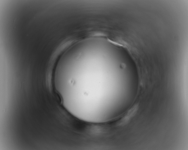 X0000092100341200709262145