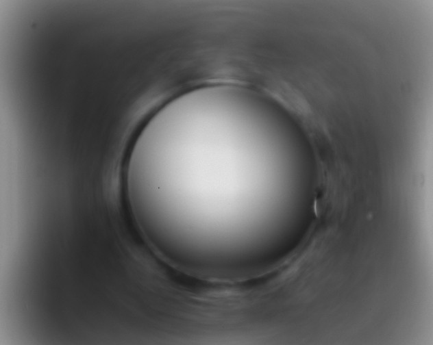 X0000092100344200709262145