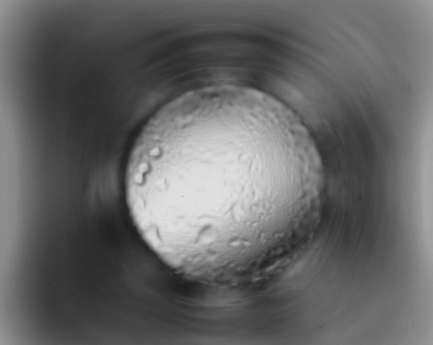 X0000092100347200709262145