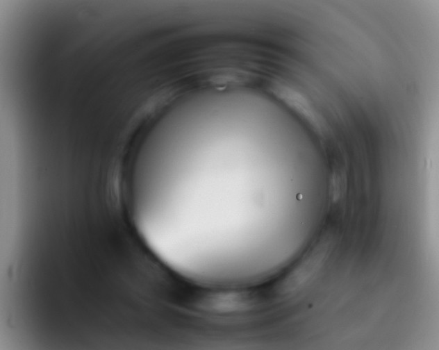 X0000092100349200709262145