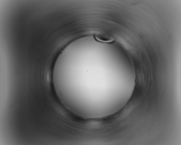 X0000092100350200709262145