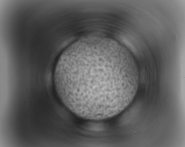 X0000092100351200709262145