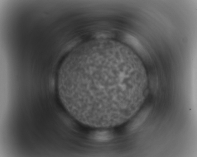 X0000092100357200709262145