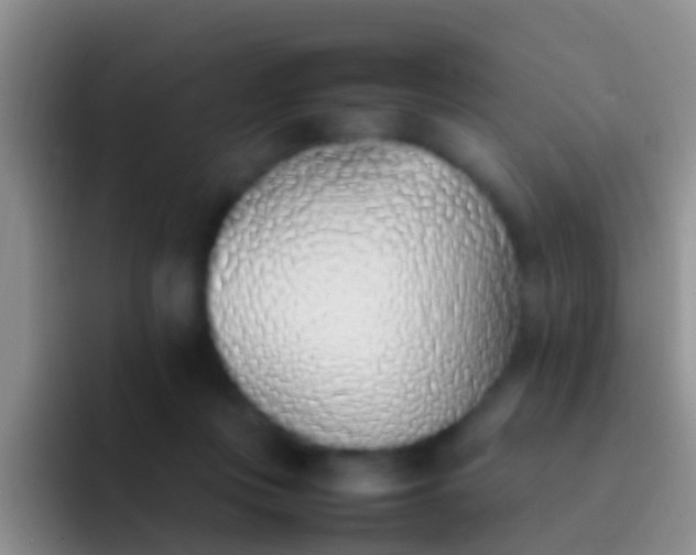 X0000092100359200709262145