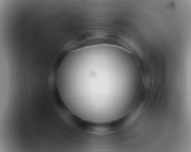 X0000092100360200709262145