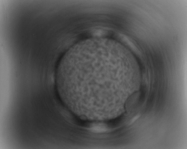 X0000092100363200709262145