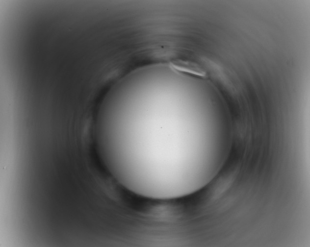 X0000092100364200709262145