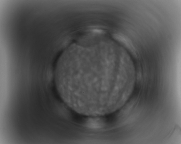 X0000092100367200709262145