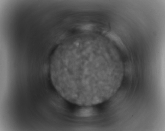 X0000092100369200709262145