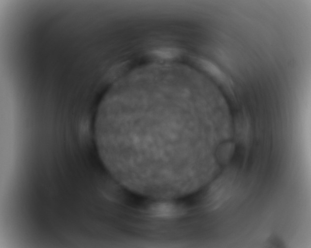 X0000092100377200709262145