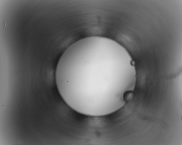 X0000092100378200709262145