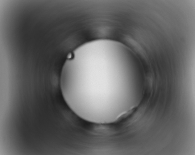 X0000092100380200709262145