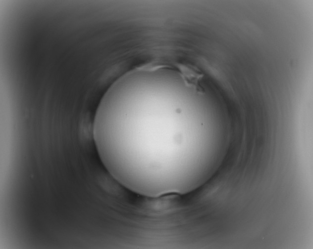 X0000092100384200709262145