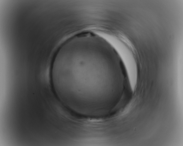 X0000092100387200709262145