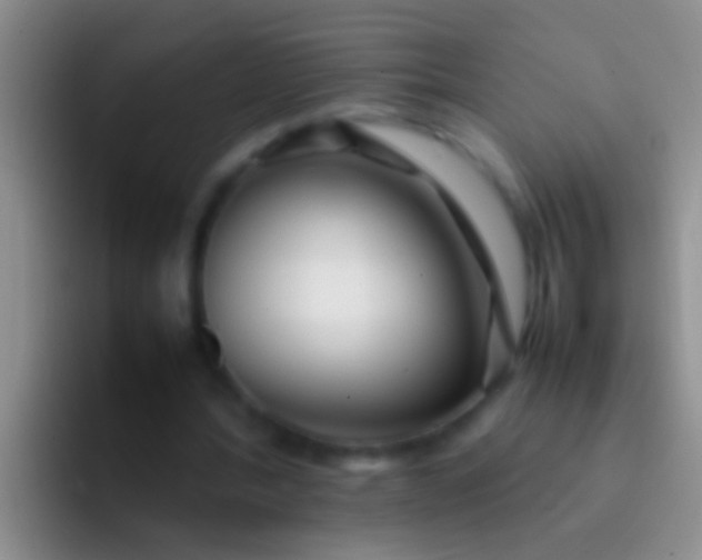 X0000092100388200709262145