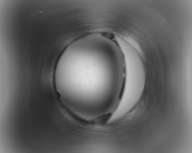 X0000092100389200709262145