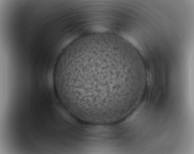 X0000092100390200709262145