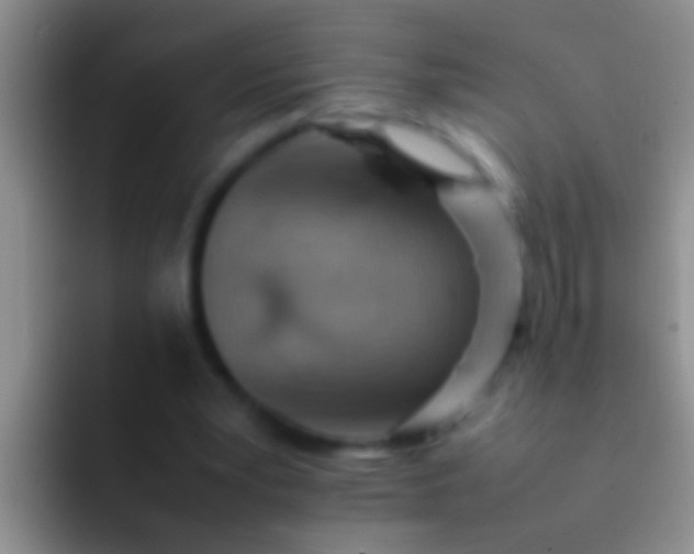 X0000092100391200709262145