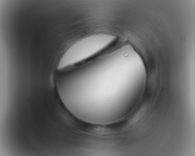 X0000092100393200709262145