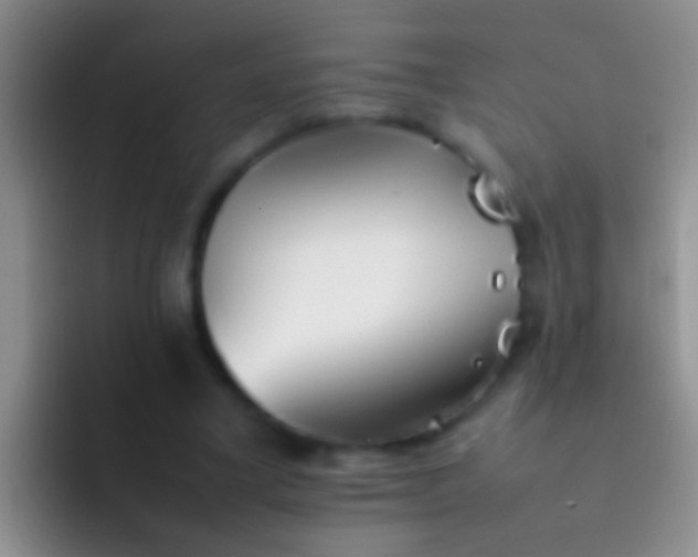 X0000092100395200709262145