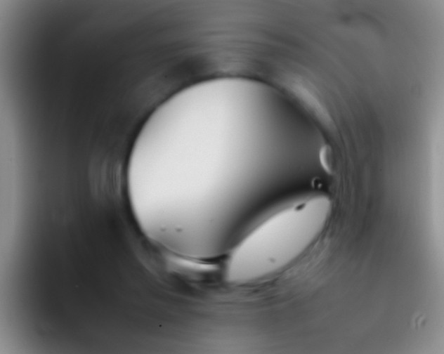 X0000092100397200709262145