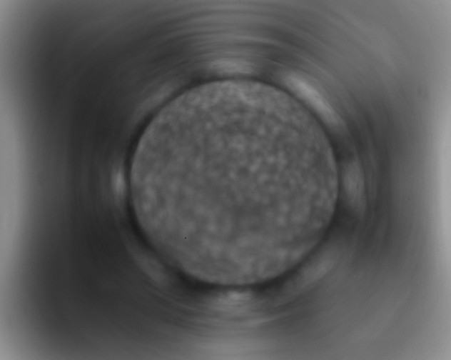 X0000092100398200709262145