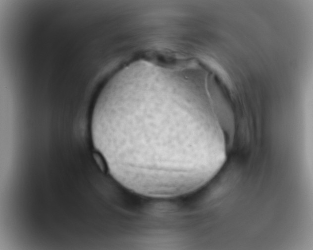 X0000092100399200709262145