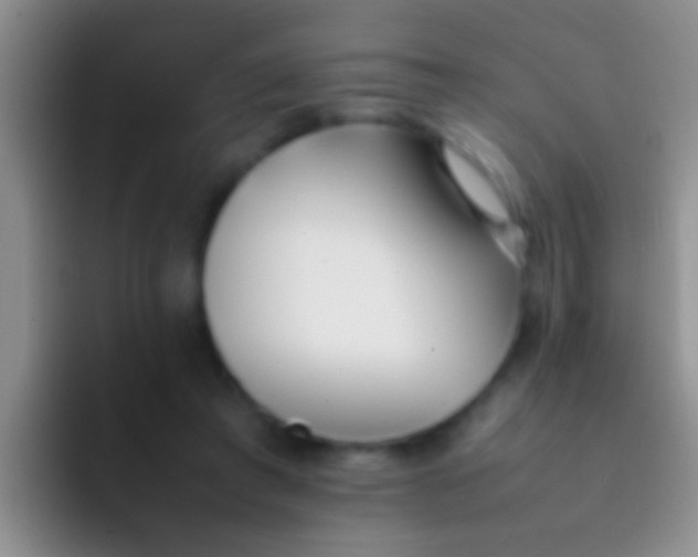 X0000092100401200709262145