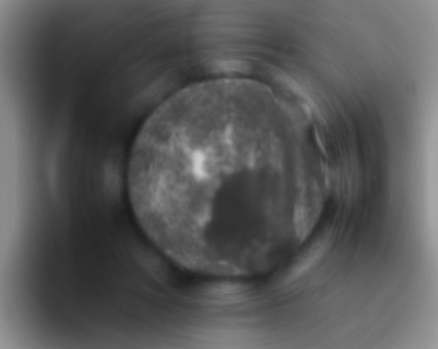 X0000092100402200709262145