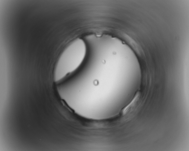 X0000092100405200709262145