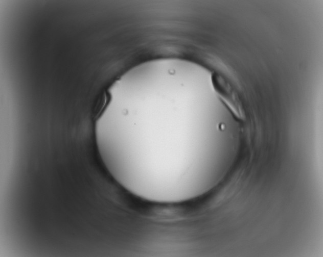 X0000092100407200709262145