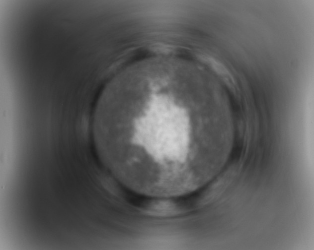 X0000092100409200709262145