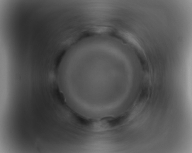 X0000092100415200709262145