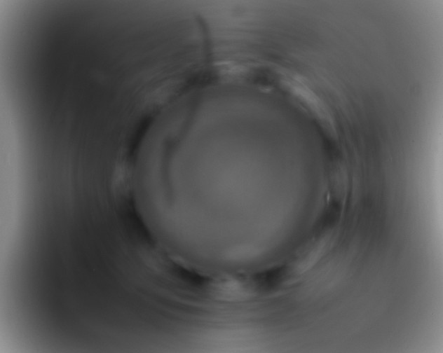 X0000092100419200709262144