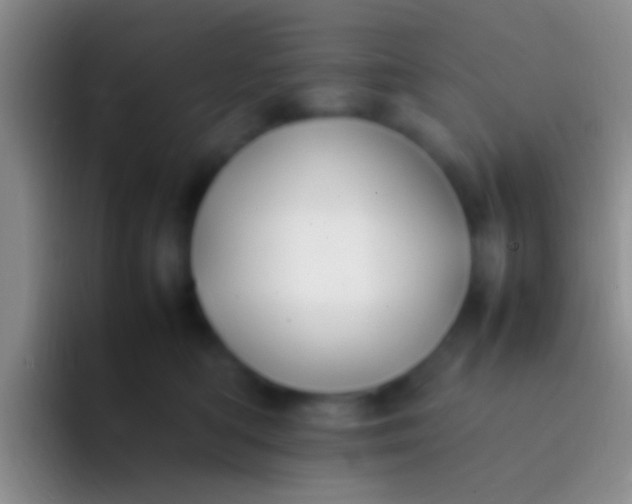 X0000092100422200709262144