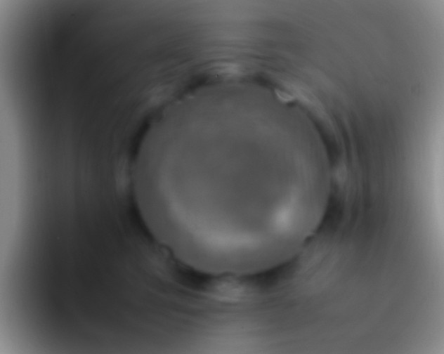 X0000092100423200709262144