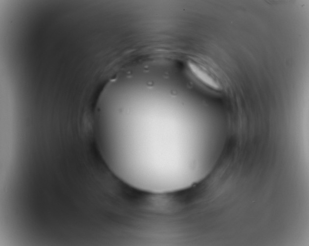 X0000092100425200709262144