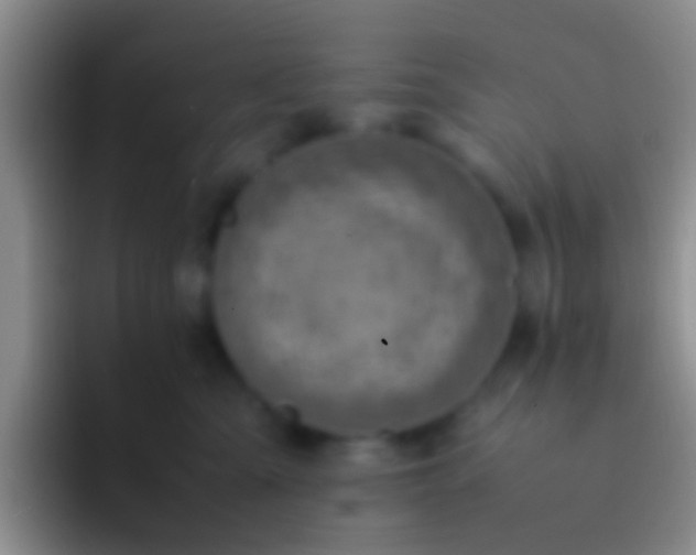 X0000092100427200709262144