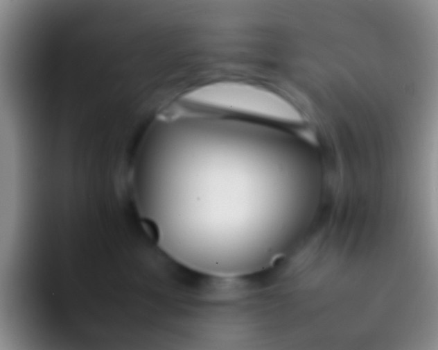 X0000092100429200709262144