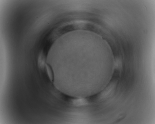 X0000092100431200709262144