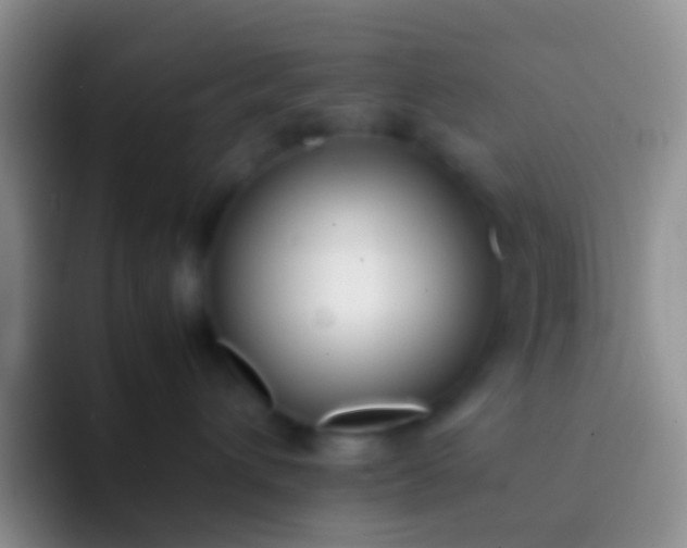 X0000092100432200709262144