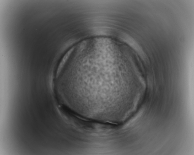 X0000092100434200709262144