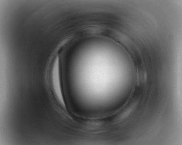 X0000092100435200709262144