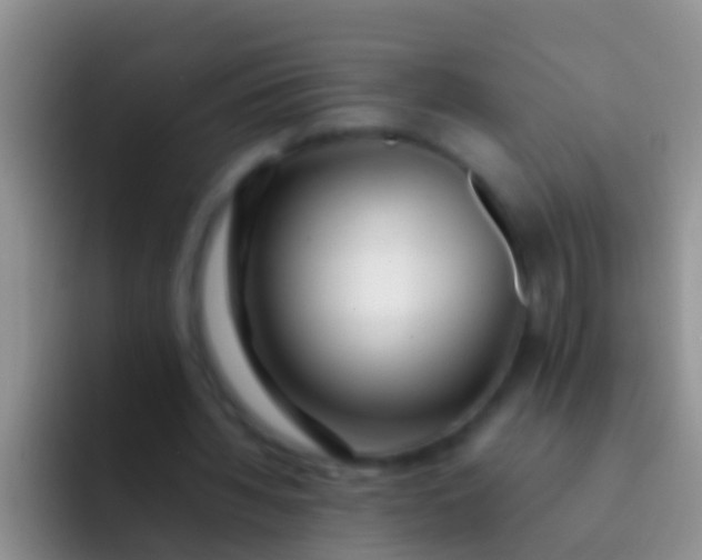 X0000092100436200709262144