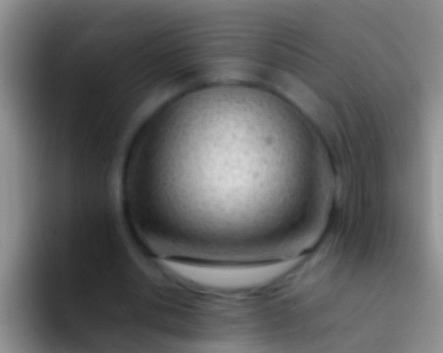 X0000092100438200709262144