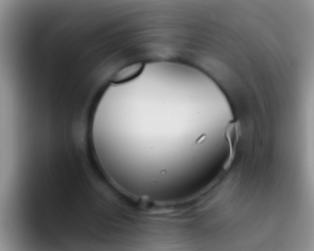 X0000092100440200709262144