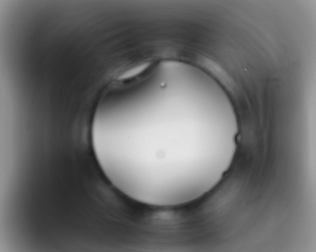 X0000092100441200709262144