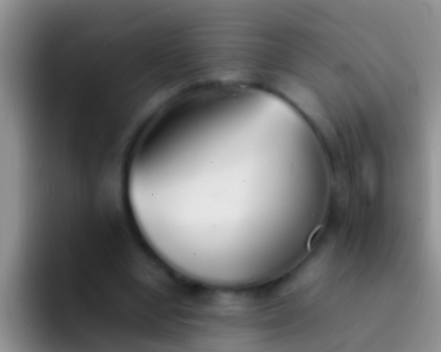 X0000092100442200709262144